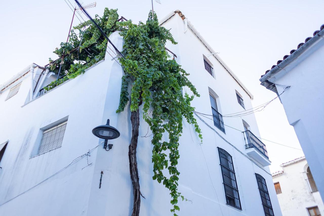 Casa Pina